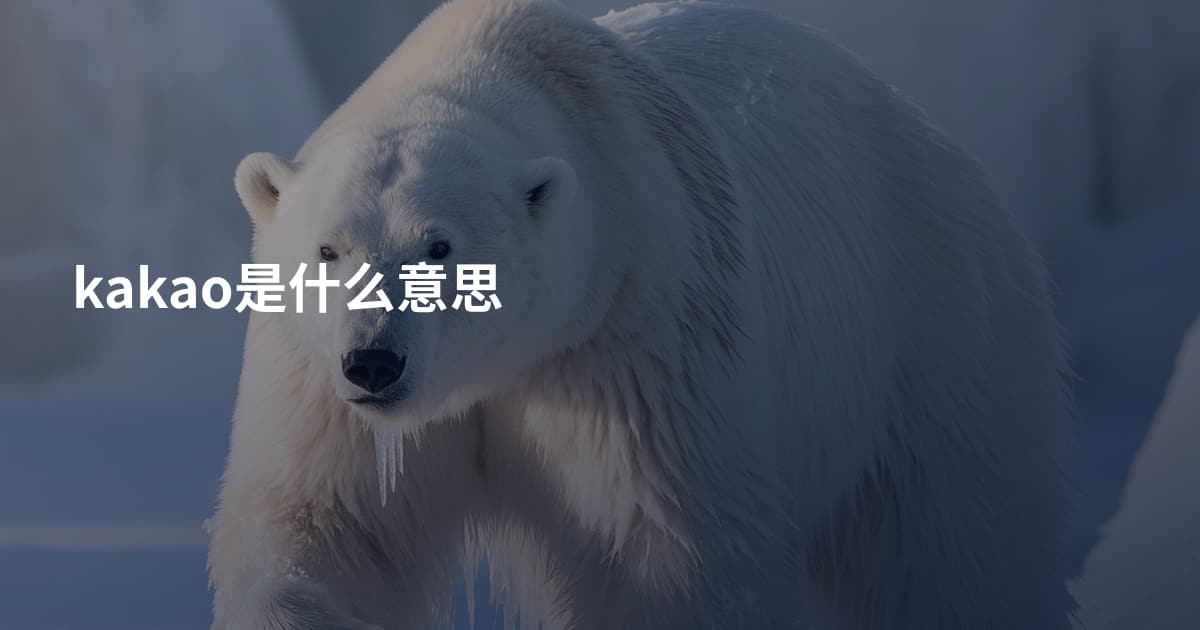 kakao是什么意思