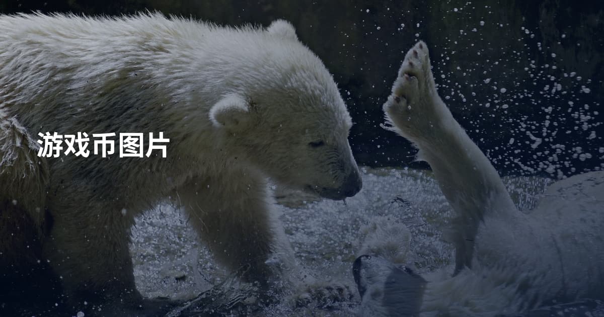 游戏币图片
