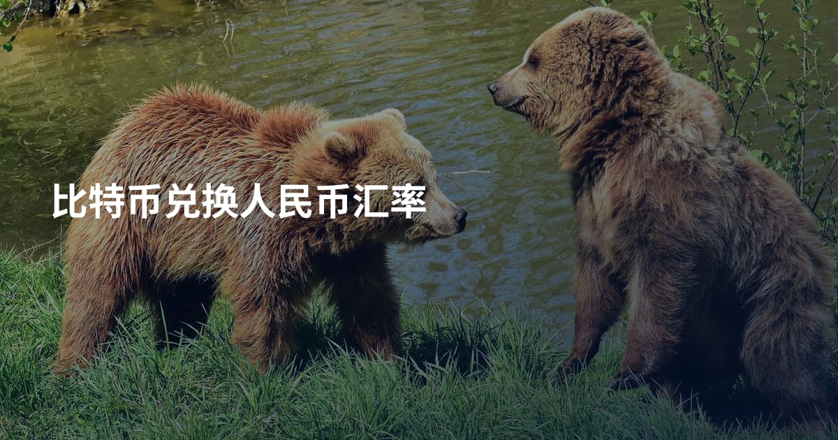 比特币兑换人民币汇率