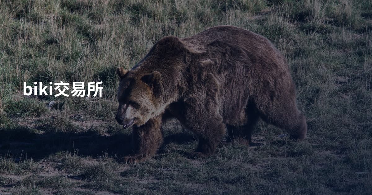 biki交易所