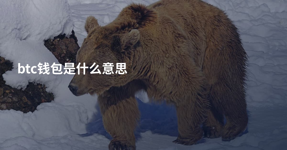 btc钱包是什么意思