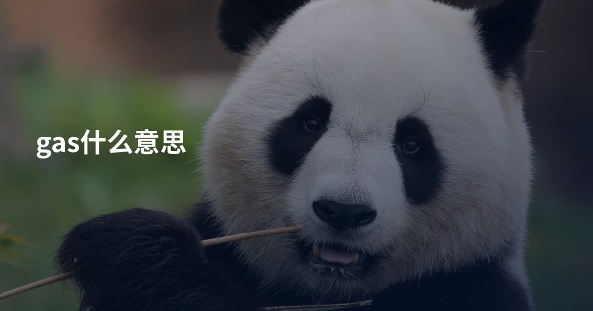 gas什么意思