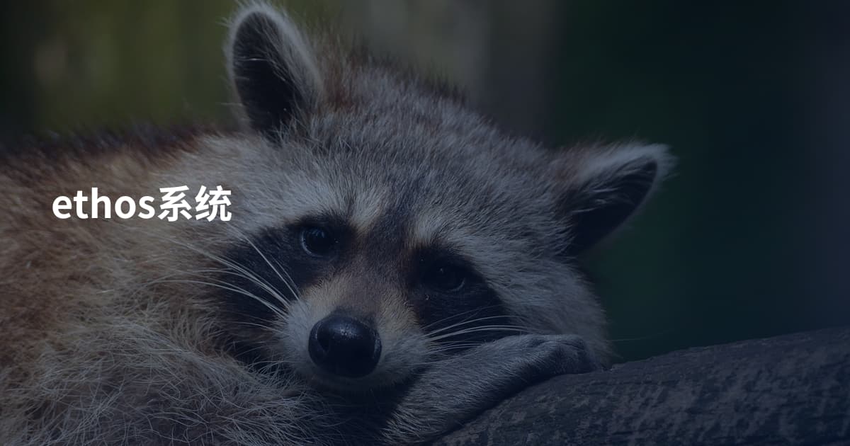 ethos系统