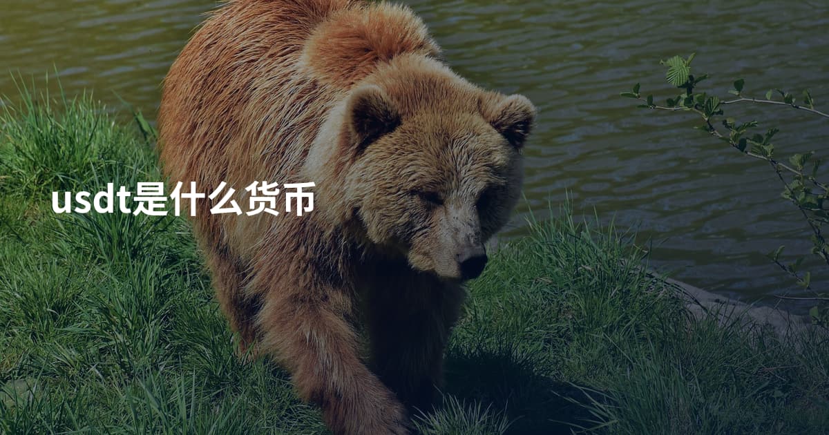usdt是什么货币