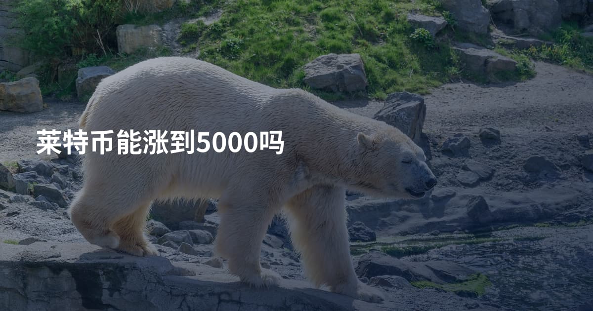 莱特币能涨到5000吗