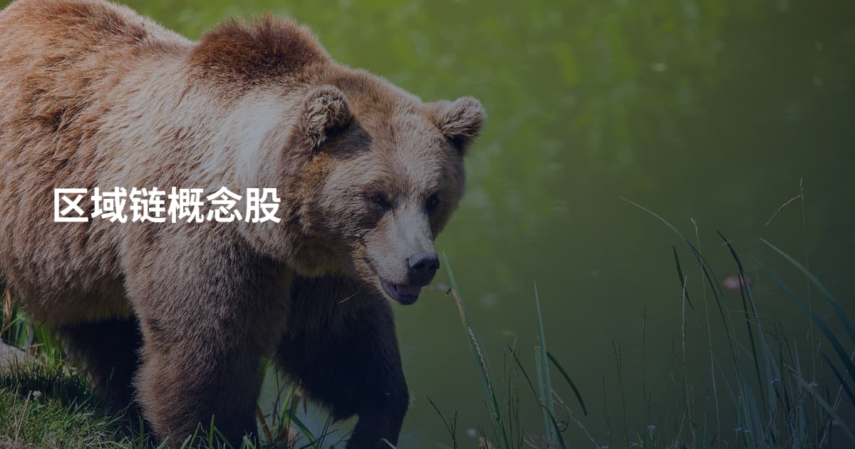区域链概念股