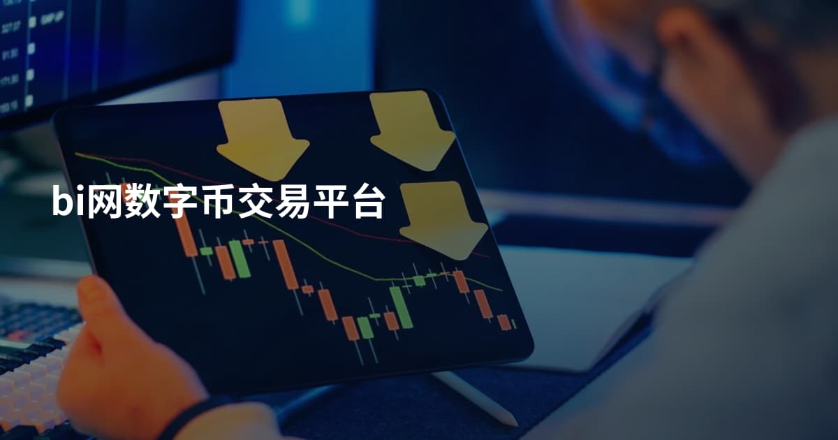 bi网数字币交易平台