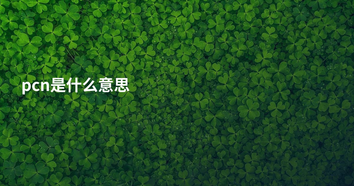 pcn是什么意思