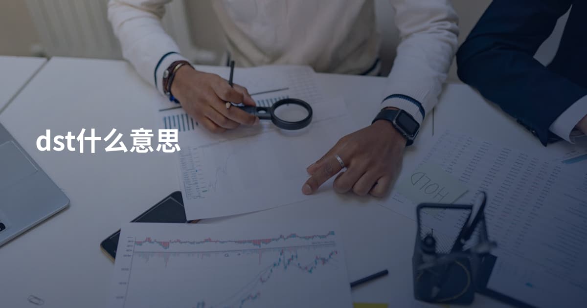 dst什么意思