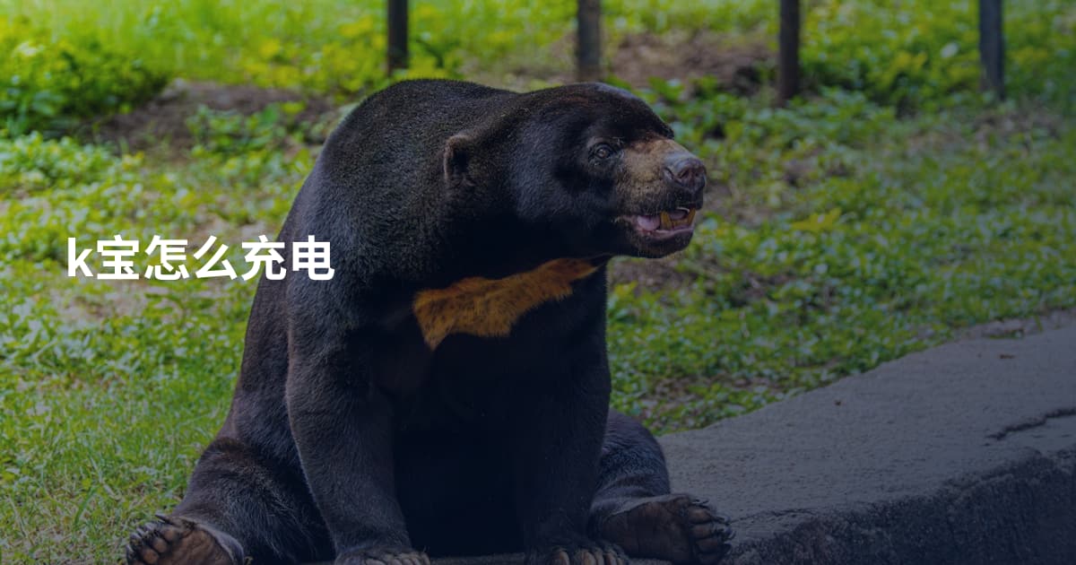 k宝怎么充电