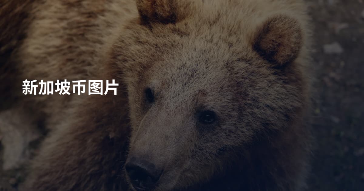 新加坡币图片