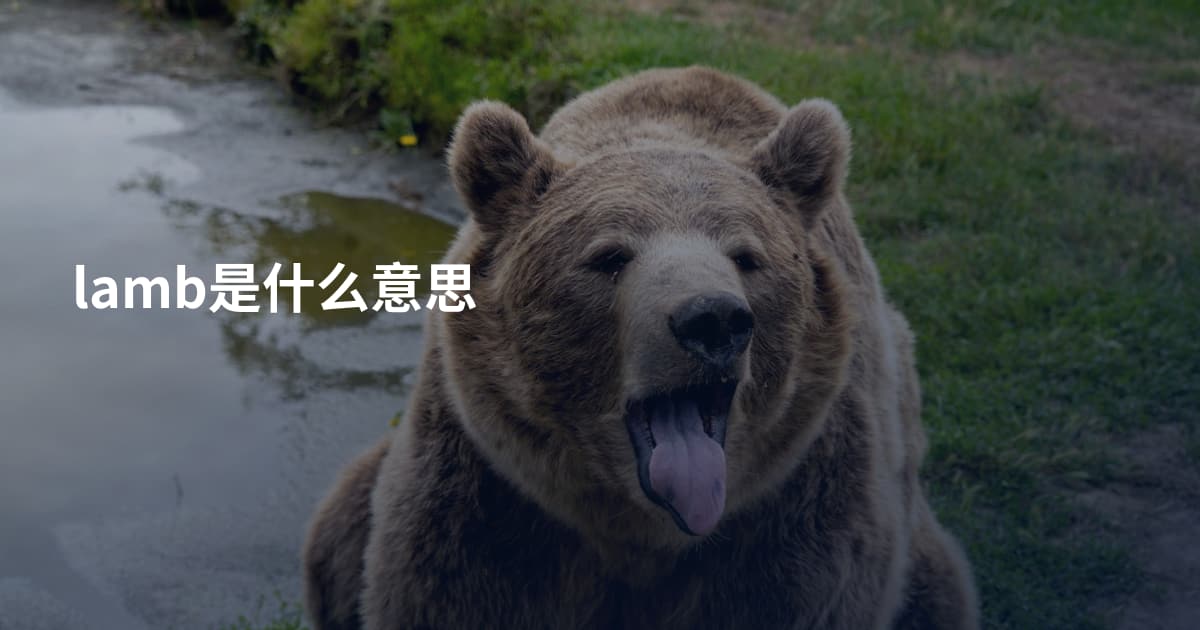 lamb是什么意思