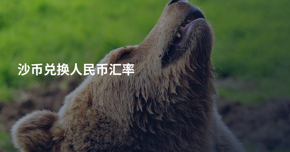 沙币兑换人民币汇率