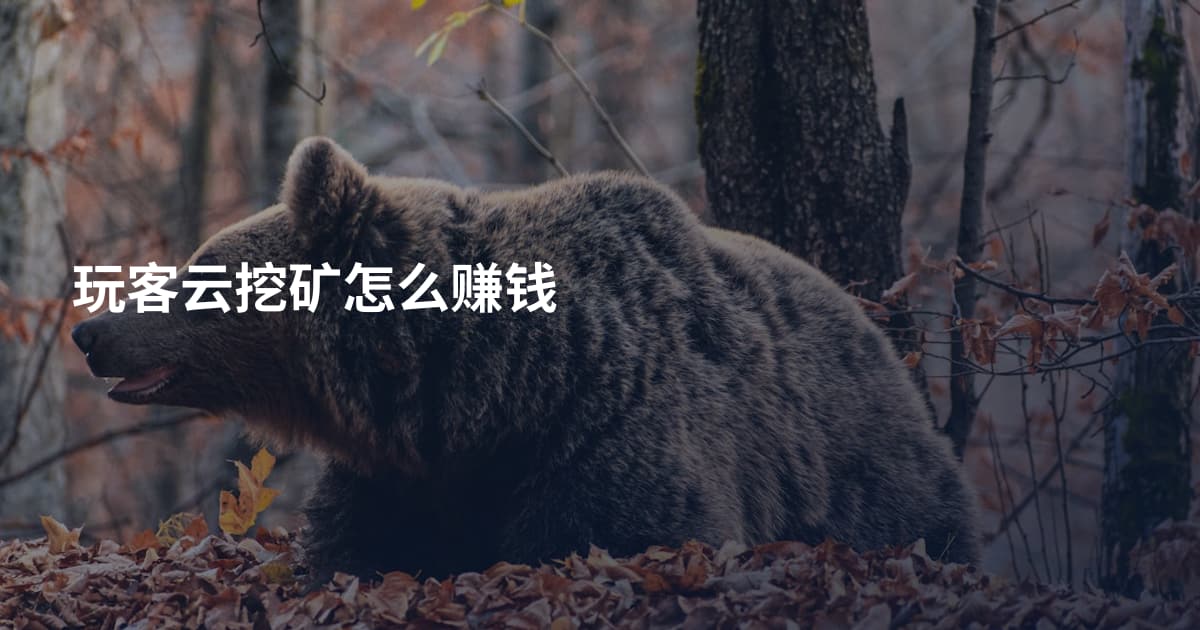 玩客云挖矿怎么赚钱