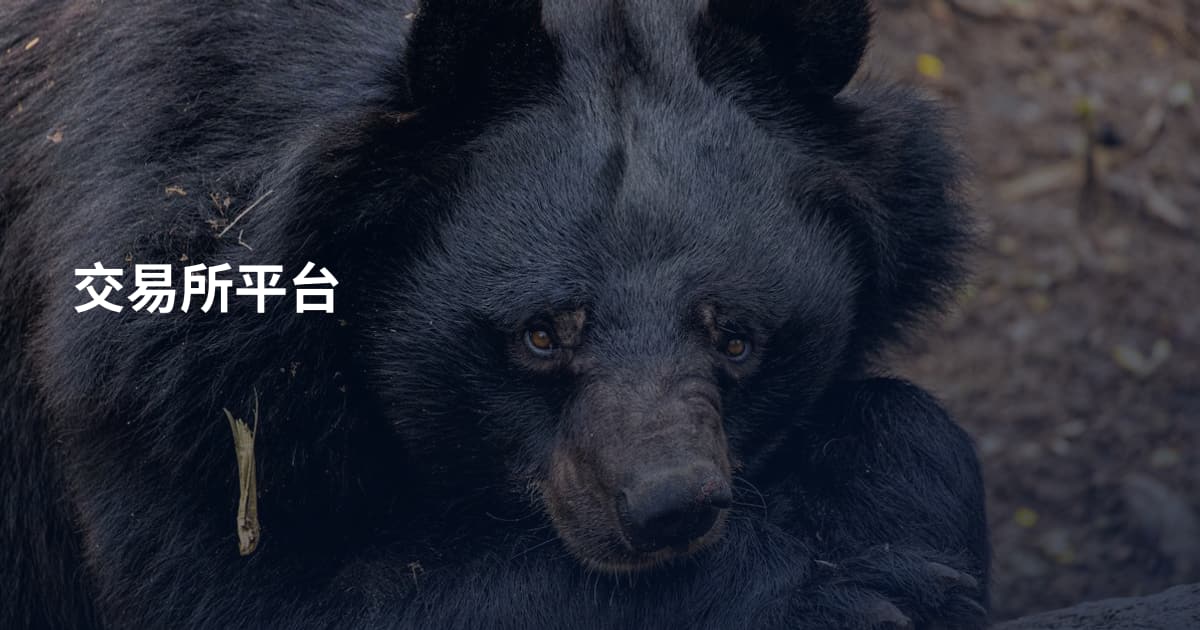 交易所平台