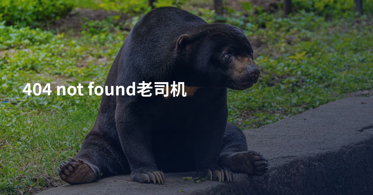 404 not found老司机