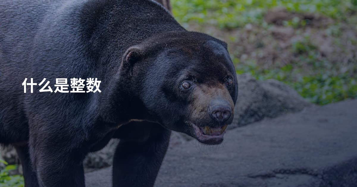 什么是整数