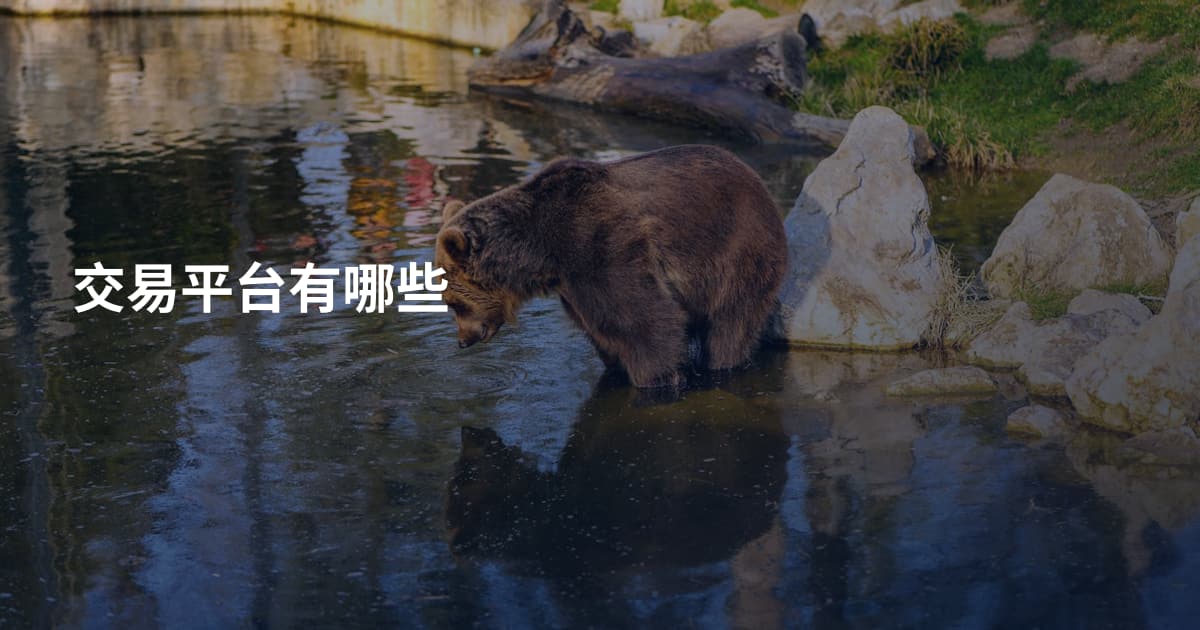 交易平台有哪些