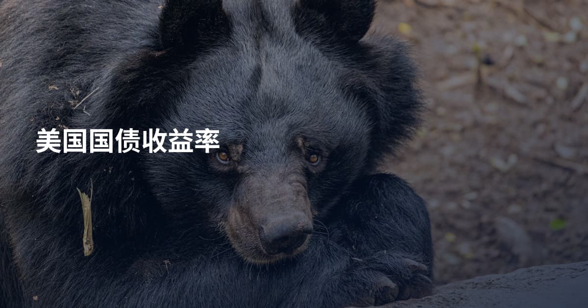 美国国债收益率