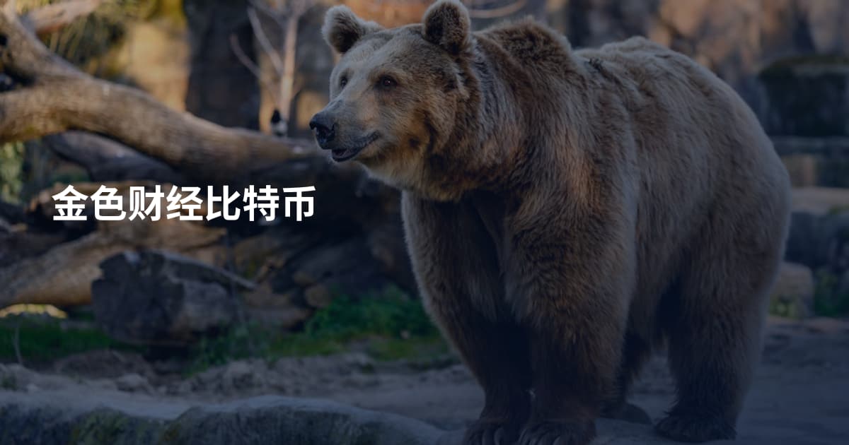 金色财经比特币