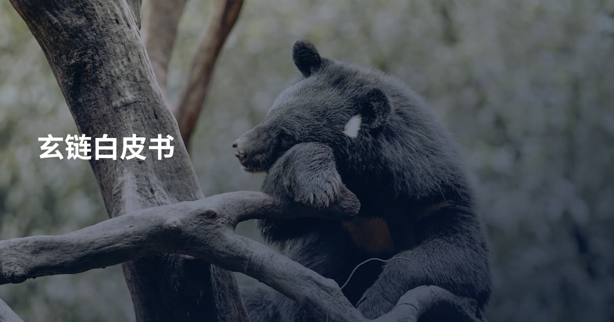 玄链白皮书