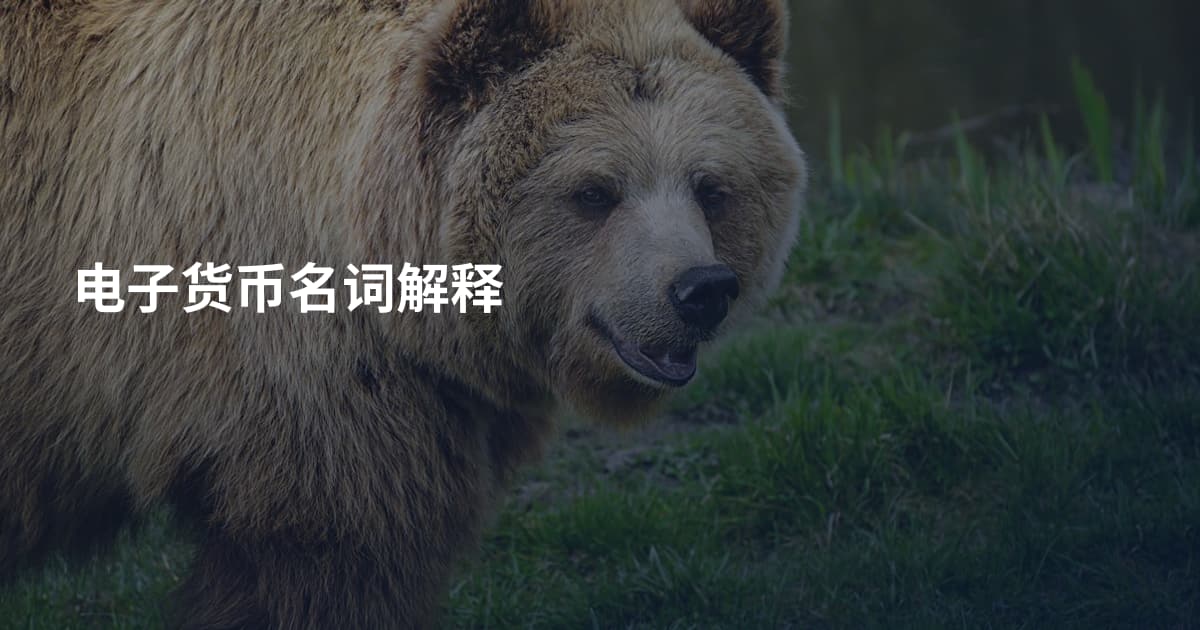 电子货币名词解释