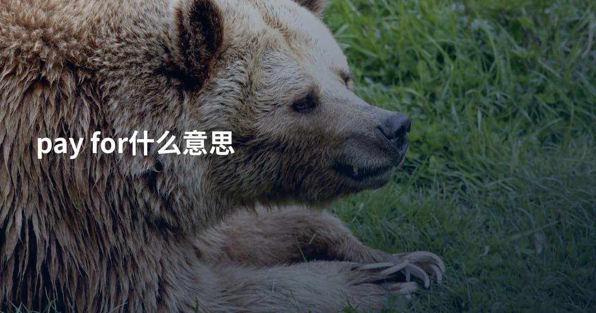 pay for什么意思