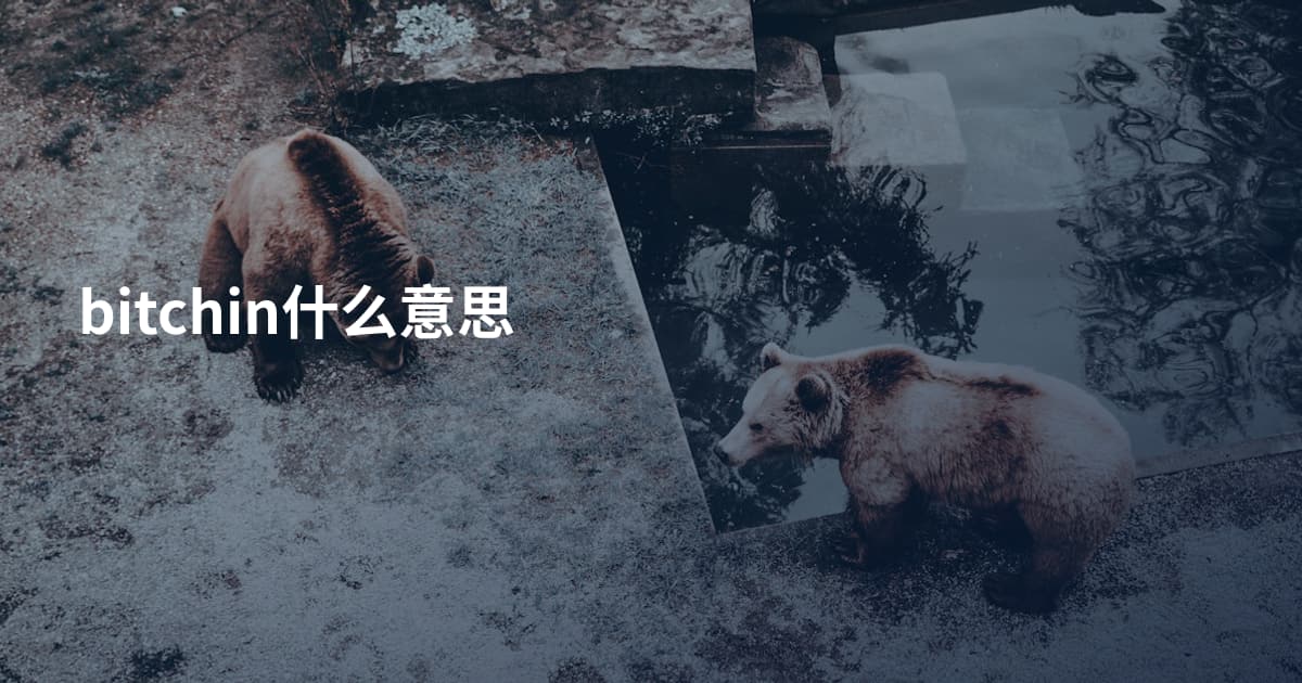 bitchin什么意思