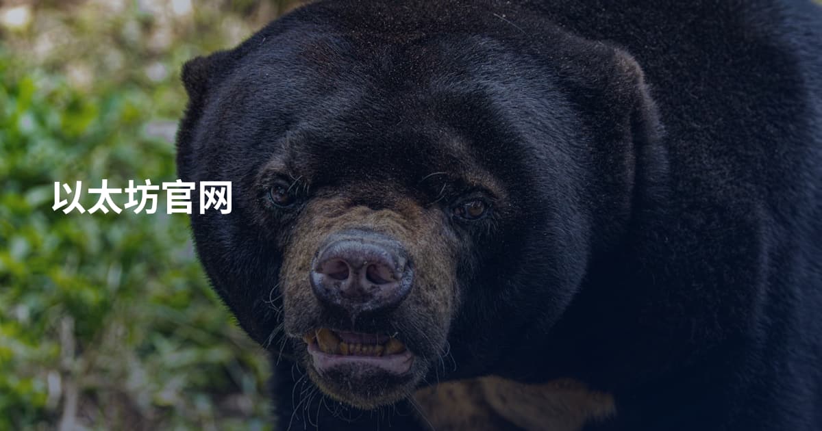 以太坊官网