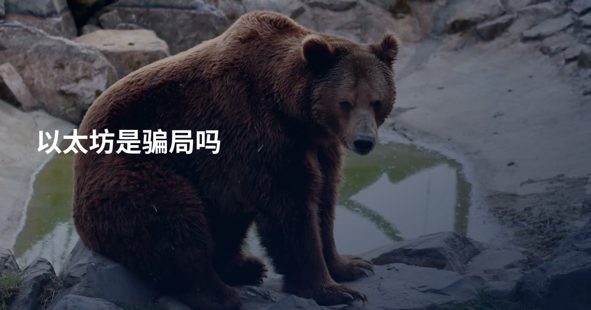 以太坊是骗局吗