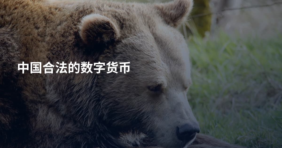 中国合法的数字货币