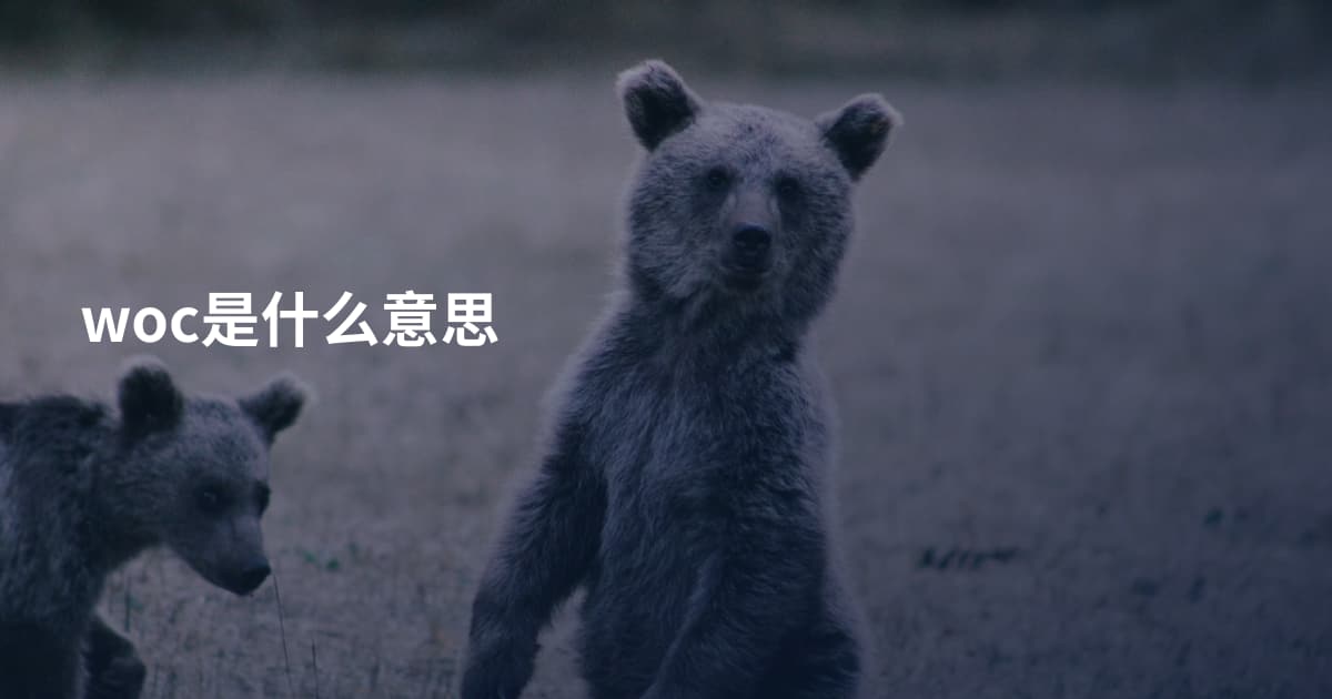 woc是什么意思