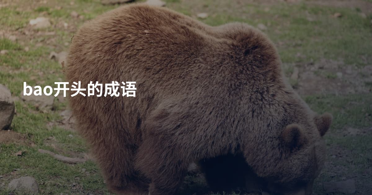bao开头的成语