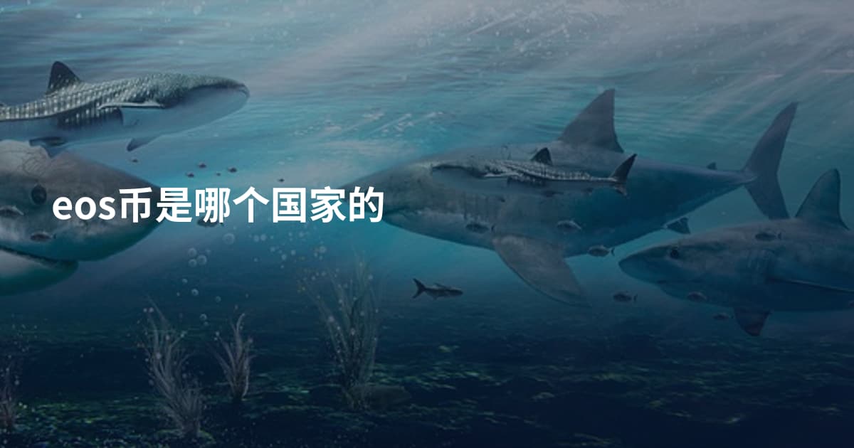 eos币是哪个国家的