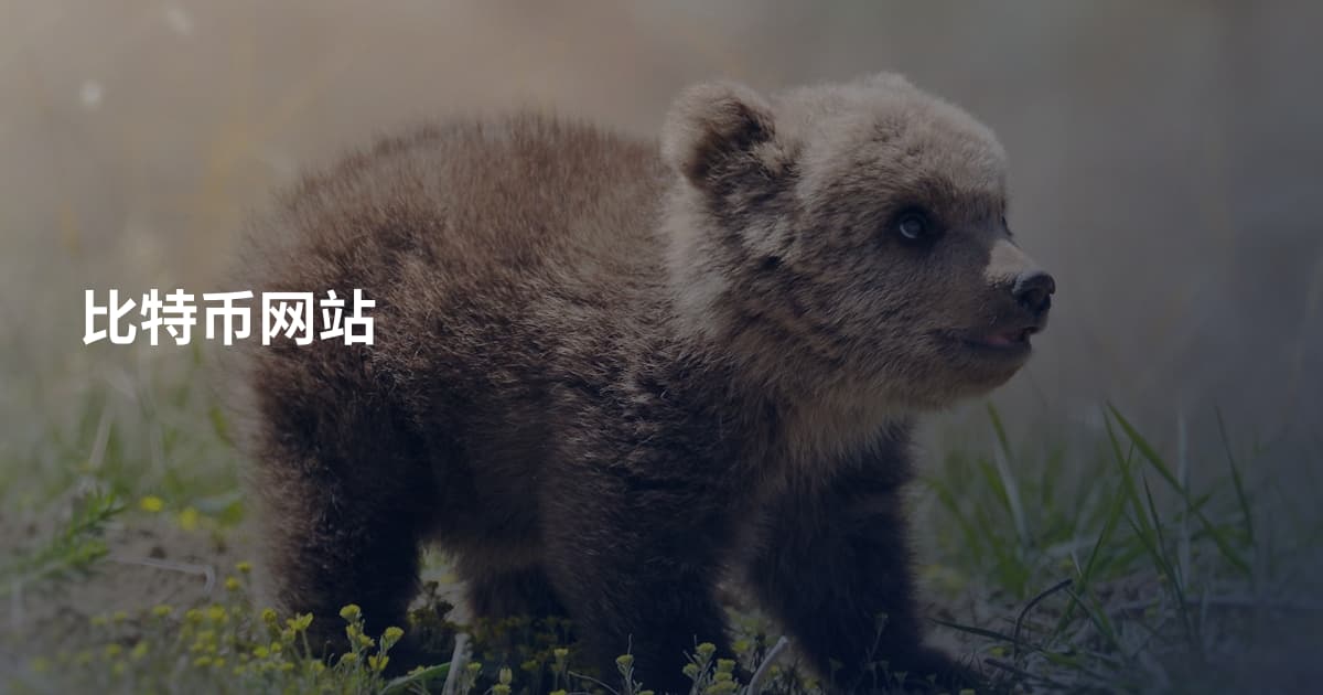 比特币网站