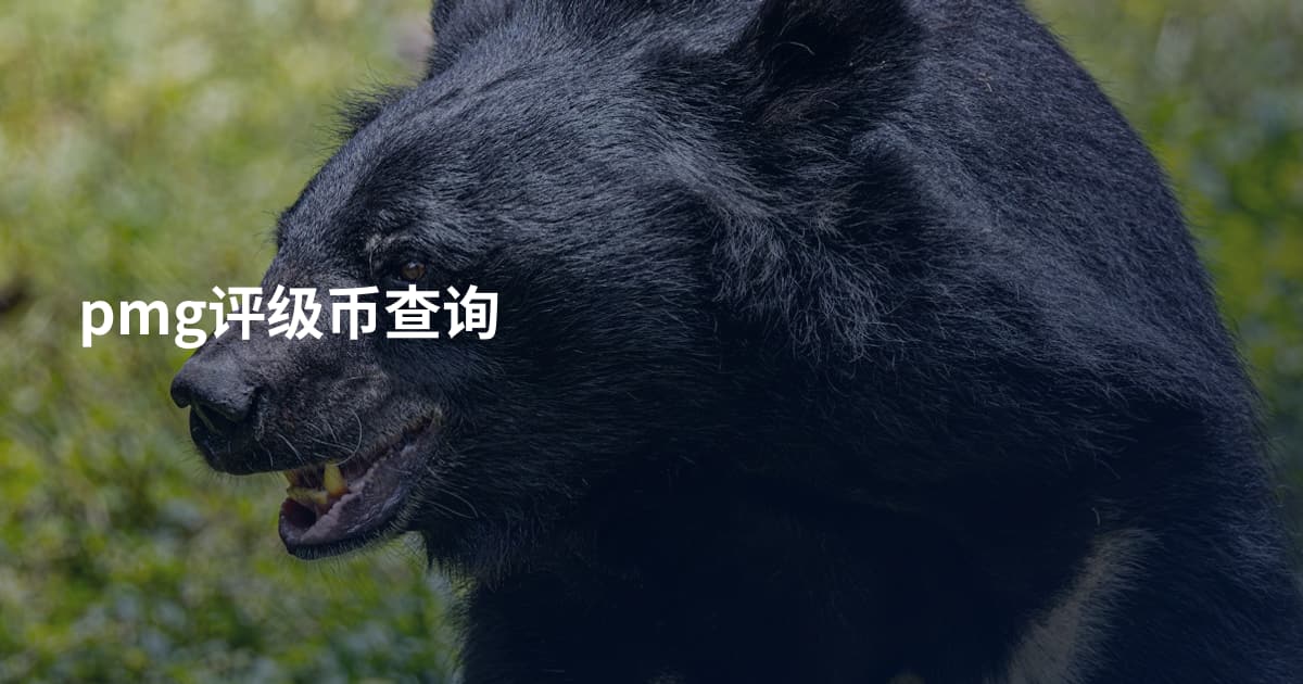 pmg评级币查询