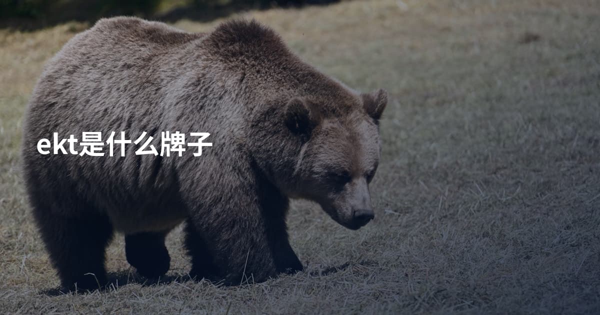 ekt是什么牌子