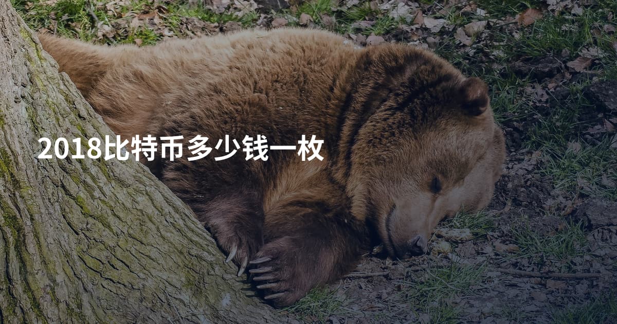 2018比特币多少钱一枚