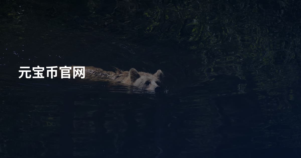 元宝币官网
