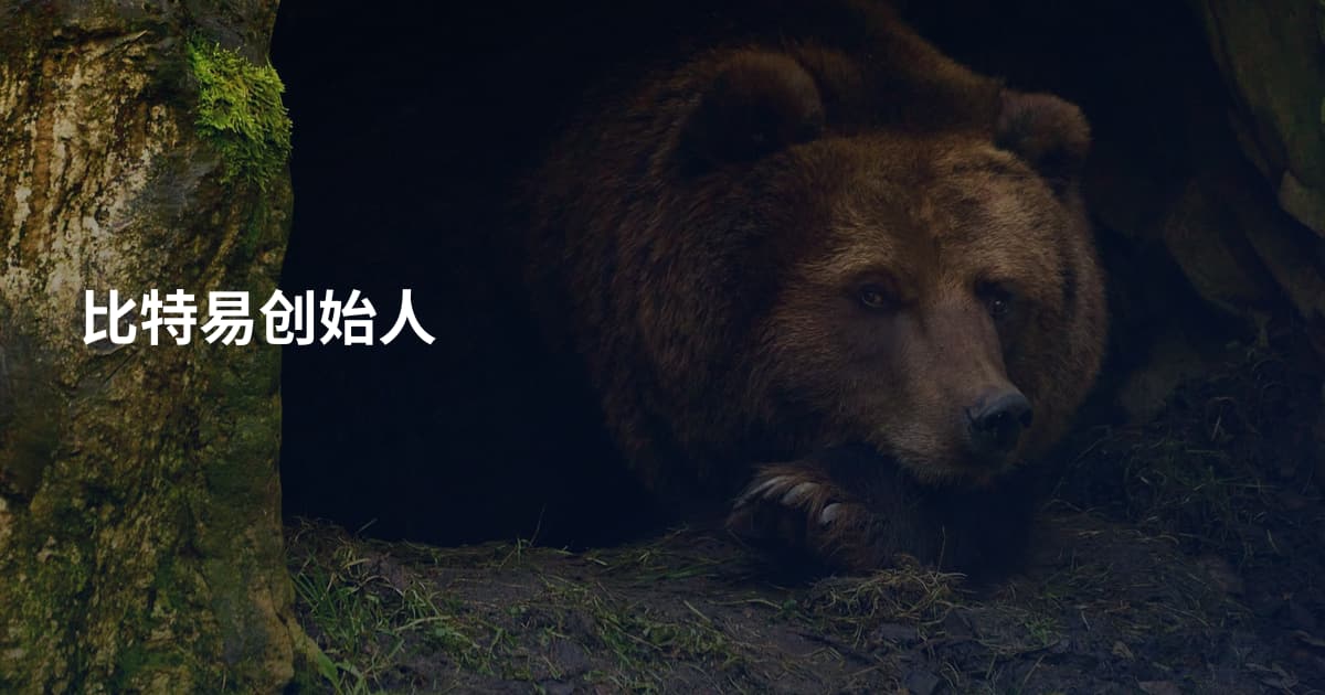 比特易创始人
