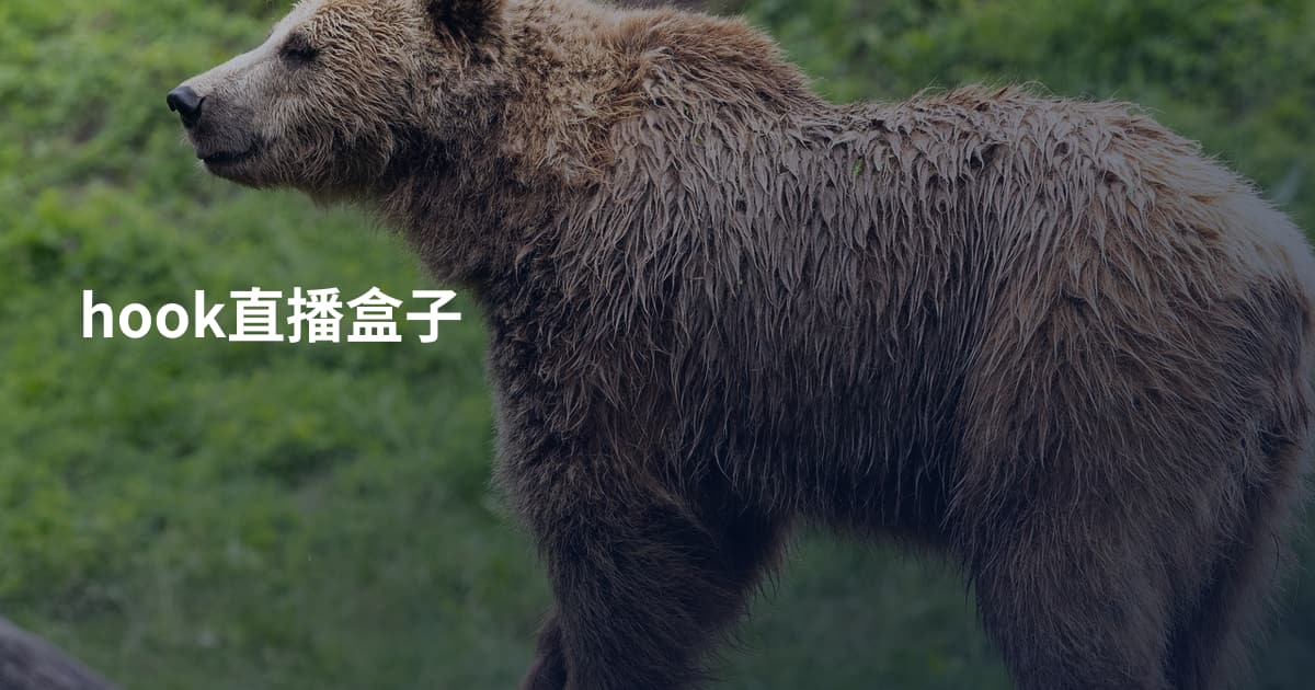 hook直播盒子