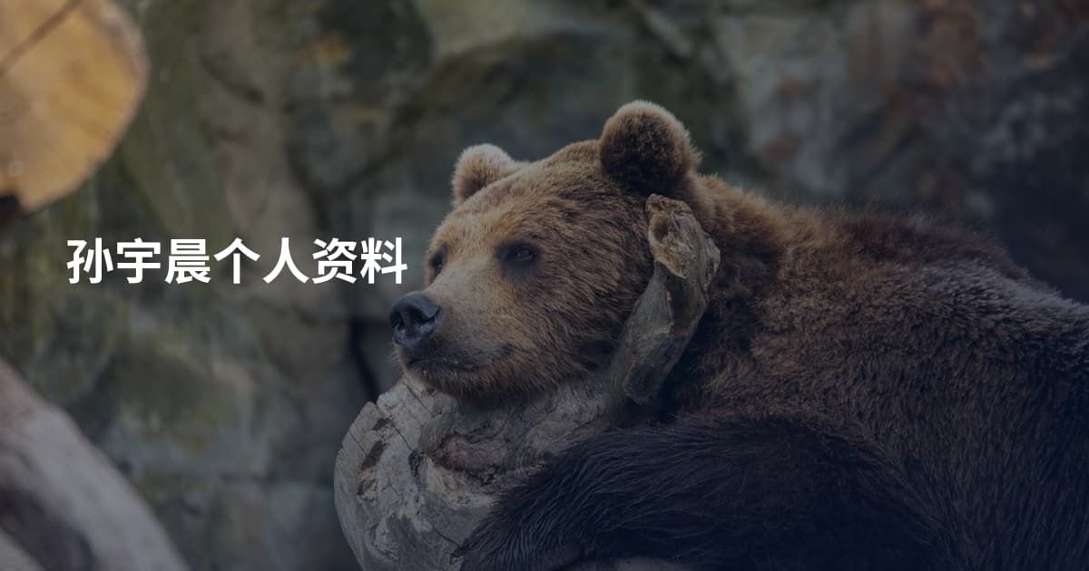 孙宇晨个人资料