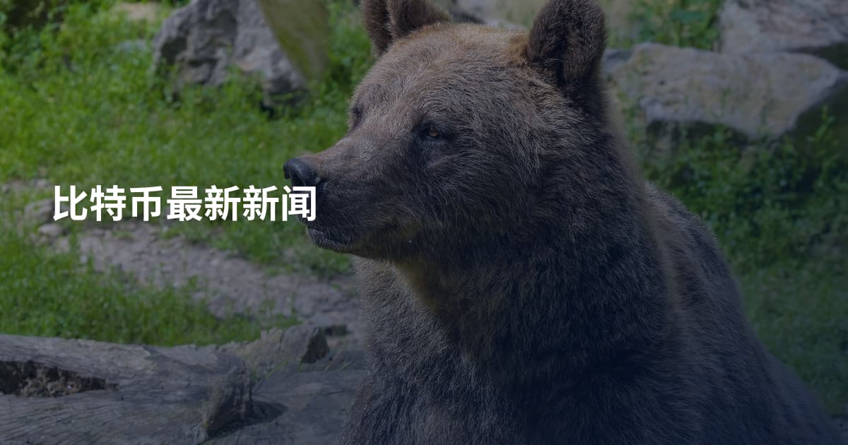 比特币最新新闻