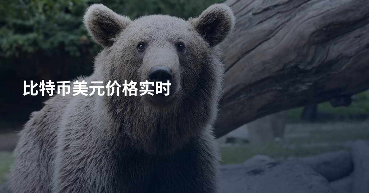 比特币美元价格实时