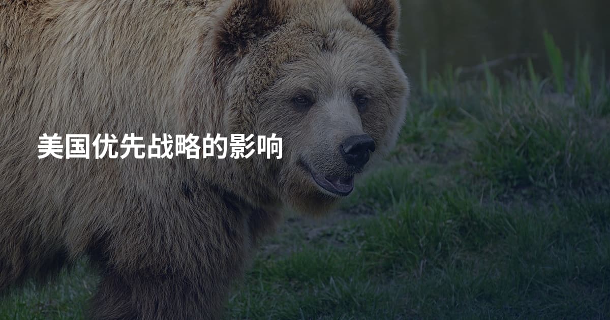 美国优先战略的影响