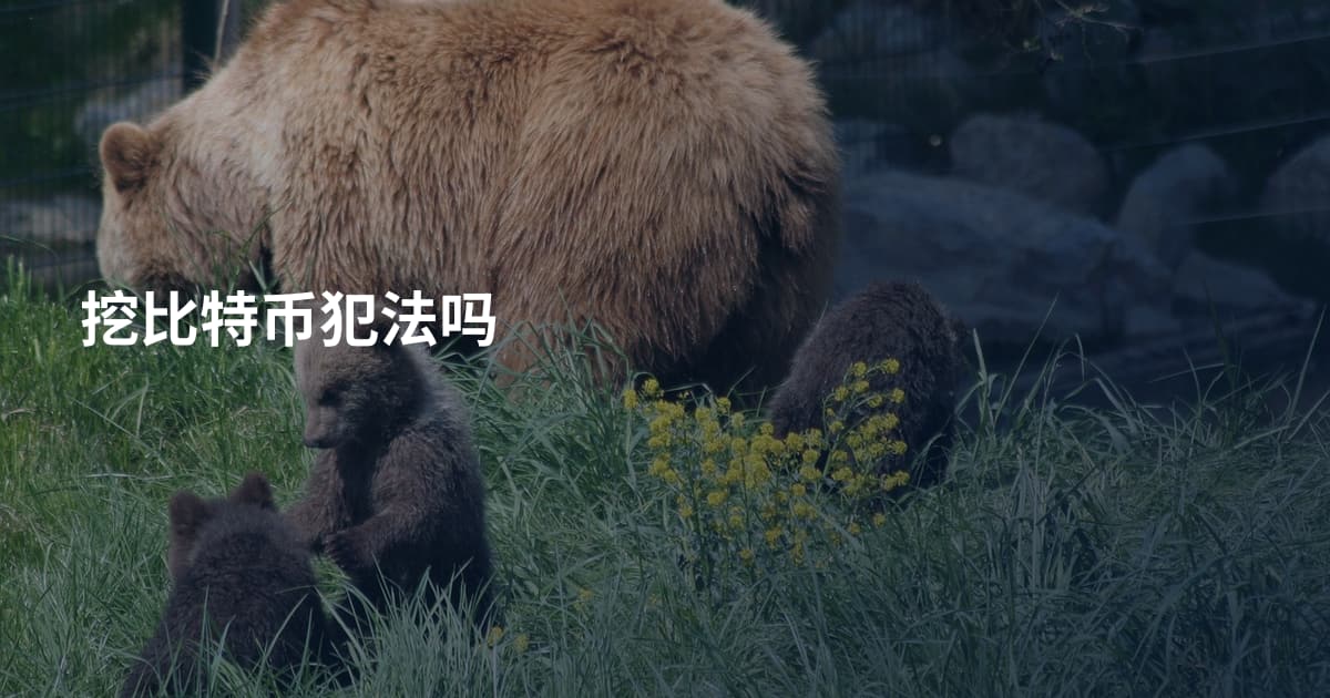 挖比特币犯法吗