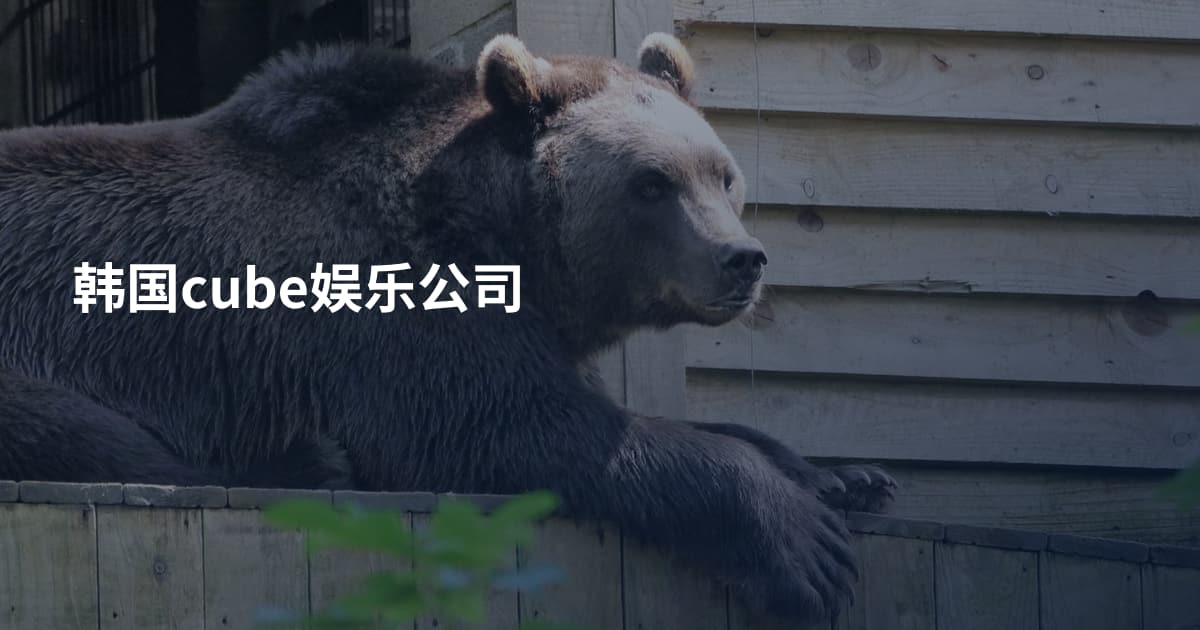 韩国cube娱乐公司