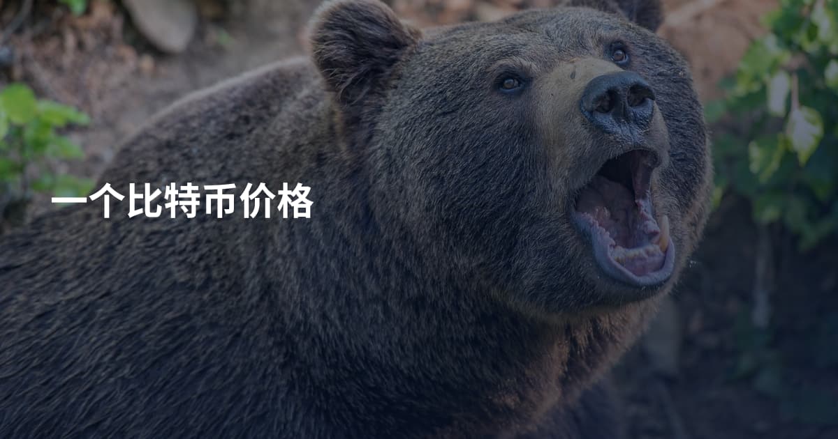 一个比特币价格
