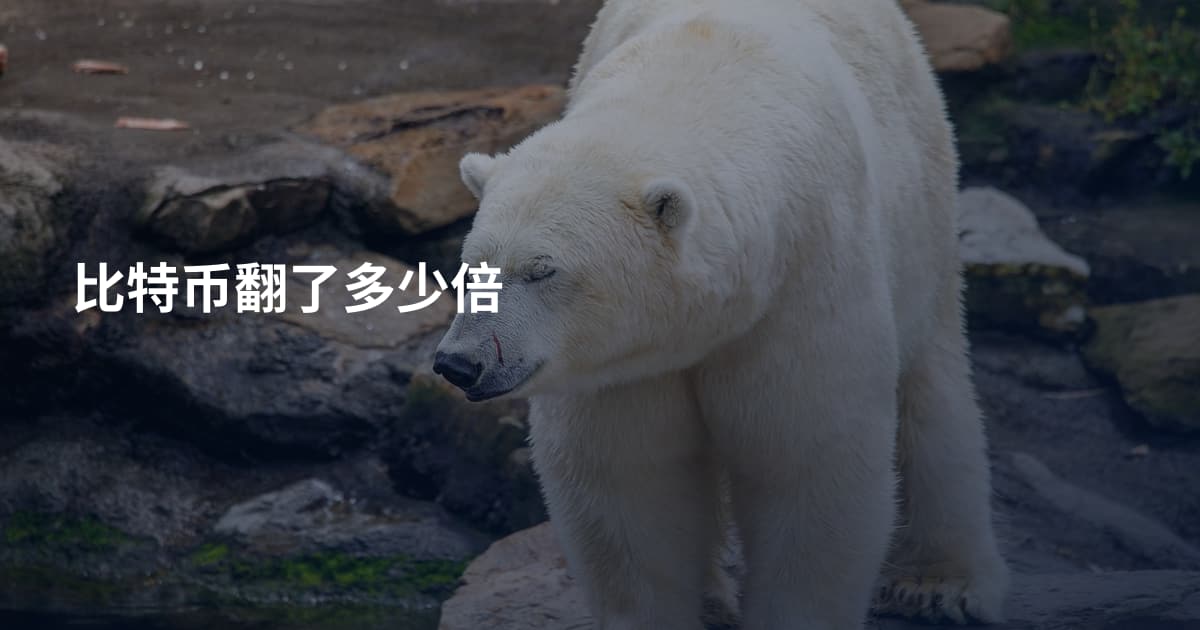 比特币翻了多少倍