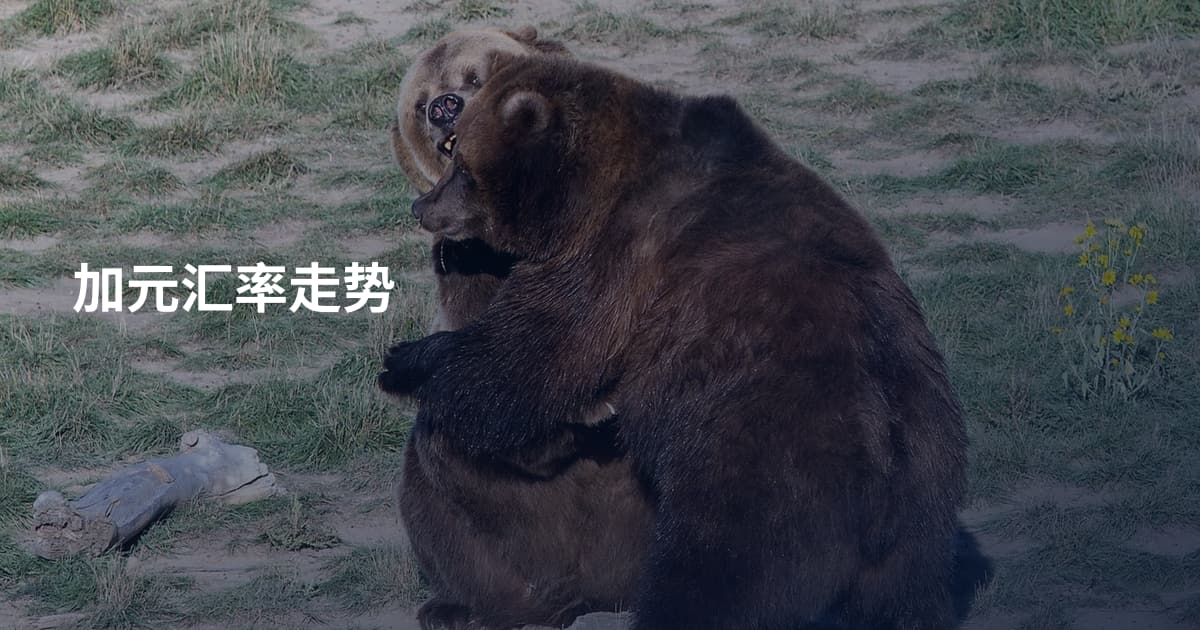 加元汇率走势
